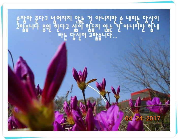 도심속의 작은 쉼터 화성 관리 낚시터입니다 (유료터정보 - 유료터점주조황)
