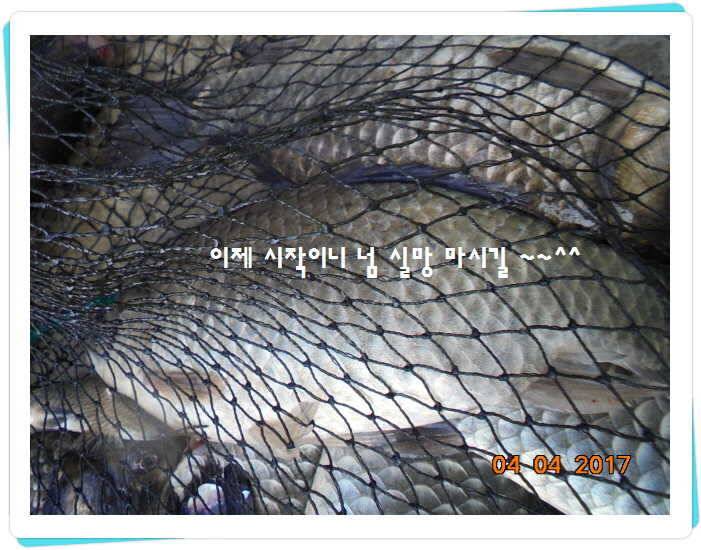 도심속의 작은 쉼터 화성 관리 낚시터입니다대박입니다 (유료터정보 - 유료터점주조황)