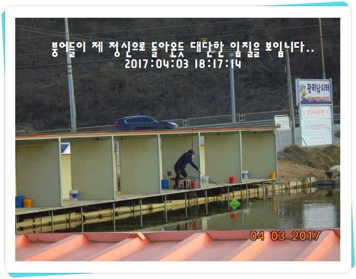 도심속의 작은 쉼터 화성 관리 낚시터입니다 (유료터정보 - 유료터점주조황)