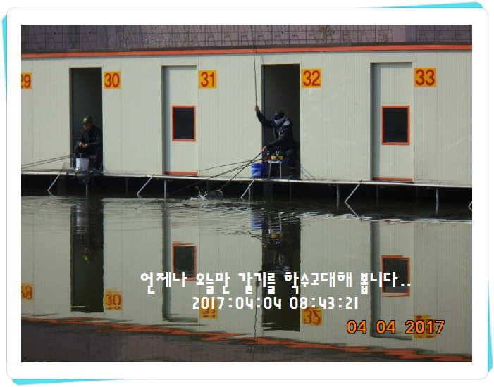 도심속의 작은 쉼터 화성 관리 낚시터입니다 (유료터정보 - 유료터점주조황)
