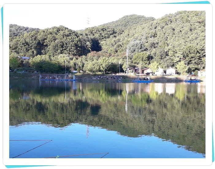 양평 수곡낚시터 추석연휴 조황 안내드립니다 (유료터정보 - 유료터점주조황)