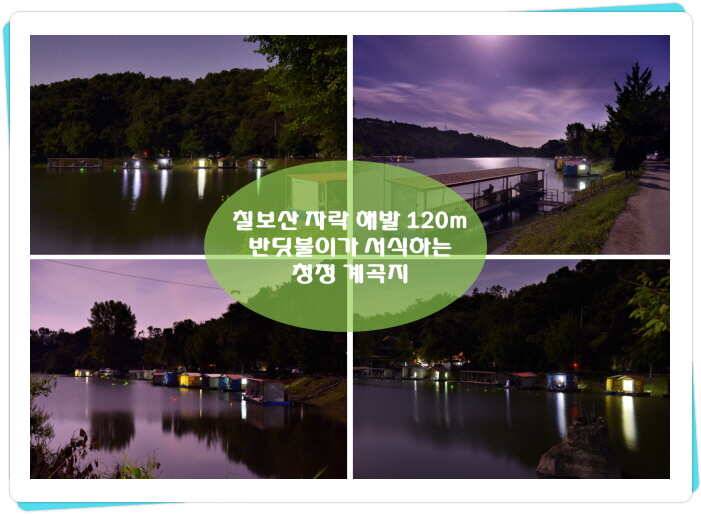 양평 수곡낚시터 10월 둘째주 주말 조황 안내 (유료터정보 - 유료터점주조황)