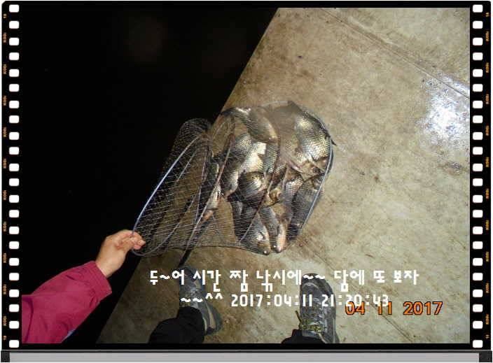 도심속의 작은 쉼터 화성 관리 낚시터입니다 (유료터정보 - 유료터점주조황)