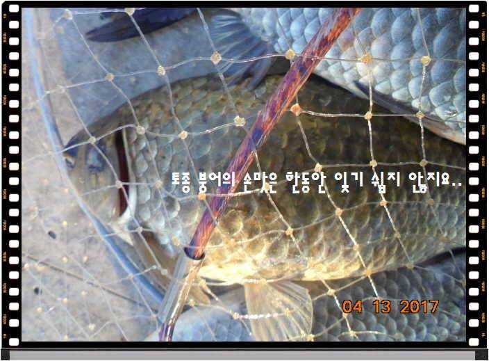 도심속의 작은 쉼터 화성 관리 낚시터입니다 (유료터정보 - 유료터점주조황)
