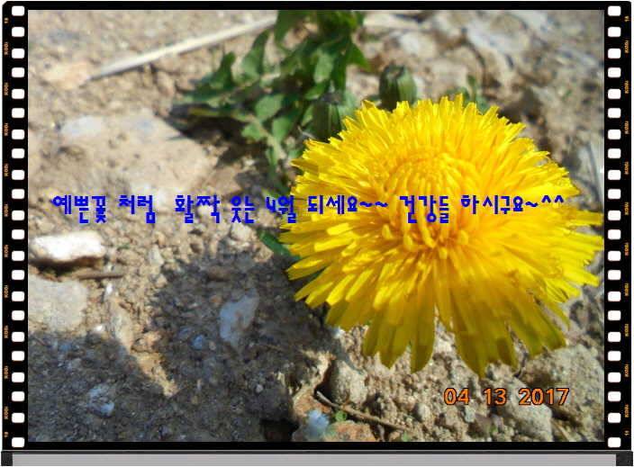 도심속의 작은 쉼터 화성 관리 낚시터입니다 (유료터정보 - 유료터점주조황)