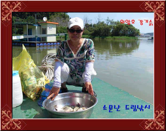 의암호 강기슭 소문난 드림낚시 조황입니다 (유료터정보 - 유료터점주조황)