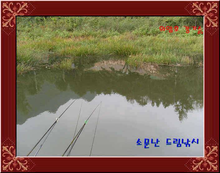 의암호 소문난 드림낚시 조황 입니다 (유료터정보 - 유료터점주조황)