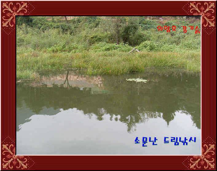 의암호 소문난 드림낚시 조황 입니다 (유료터정보 - 유료터점주조황)