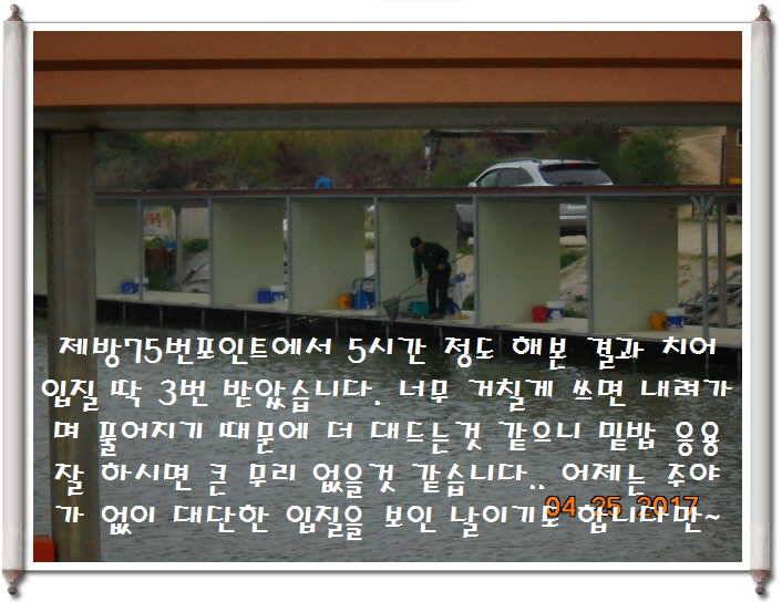 도심속의 작은 쉼터 화성 관리 낚시터입니다 (유료터정보 - 유료터점주조황)