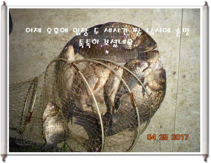 도심속의 작은 쉼터 화성 관리 낚시터입니다 (유료터정보 - 유료터점주조황)