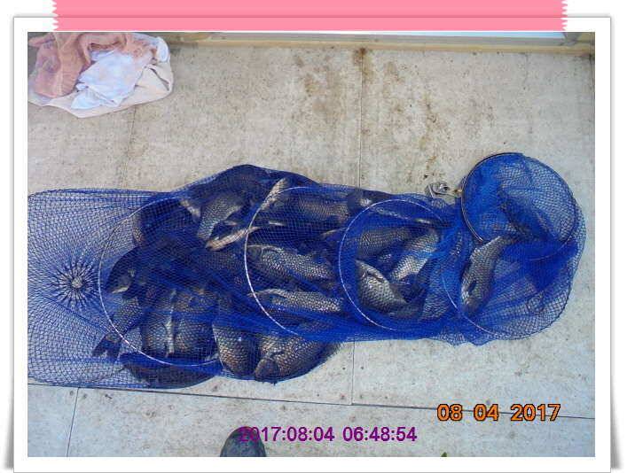 도심속의 작은 쉼터 화성 관리 낚시터입니다더워도 넘 덥네요 (유료터정보 - 유료터점주조황)