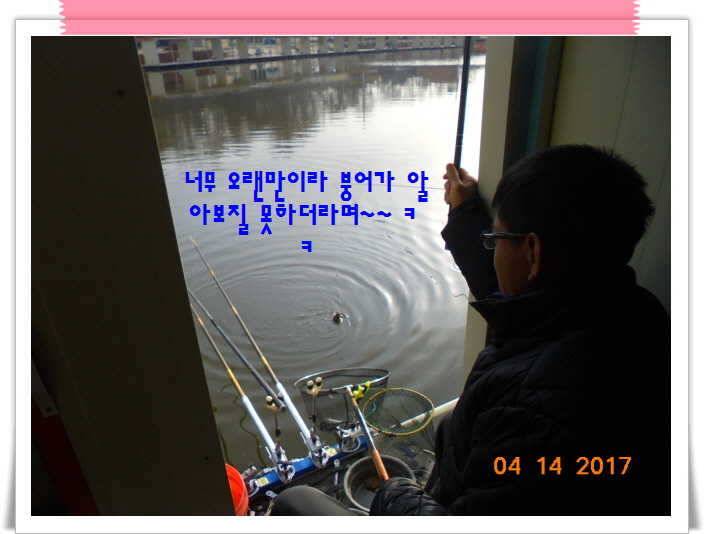 도심속의 작은 쉼터 화성 관리 낚시터입니다 (유료터정보 - 유료터점주조황)