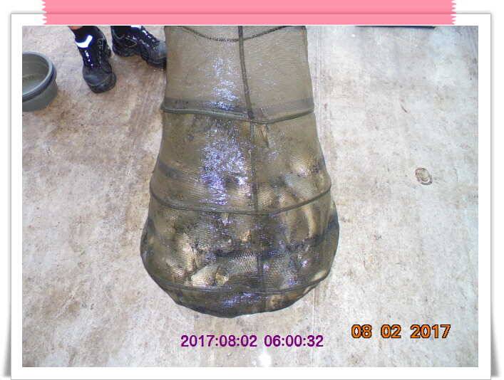 도심속의 작은 쉼터 화성 관리 낚시터입니다관리의 밤은 꽃길 입니다 (유료터정보 - 유료터점주조황)