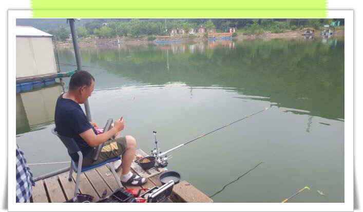 fish_pay_94a99_121057_57740.jpg