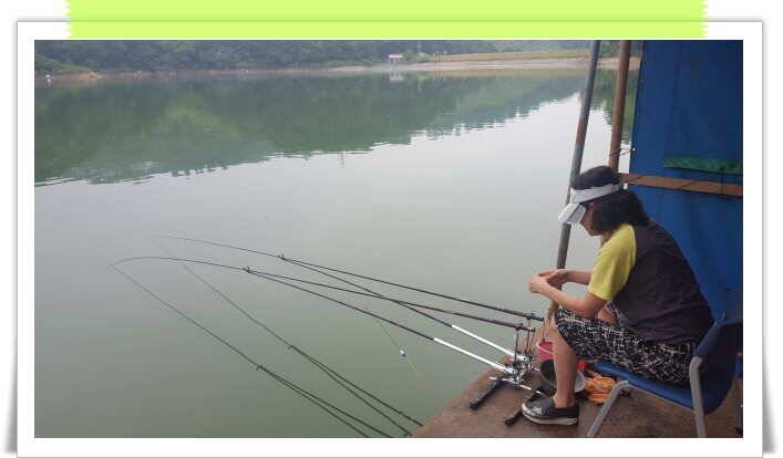 fish_pay_e1f9f_121059_42775.jpg