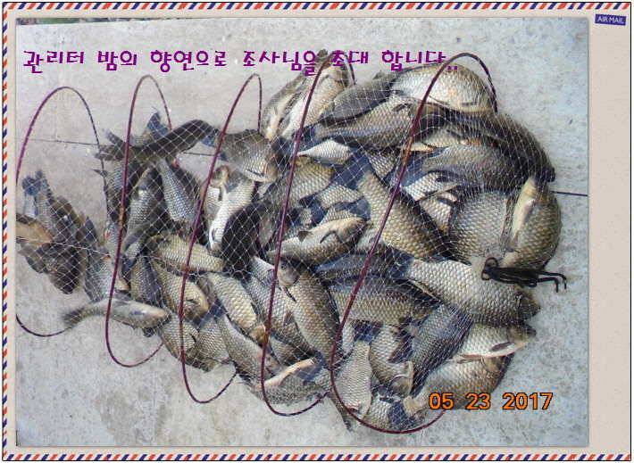 도심속의 작은 쉼터 화성 관리 낚시터입니다밤 밤 밤이 좋습니다 (유료터정보 - 유료터점주조황)