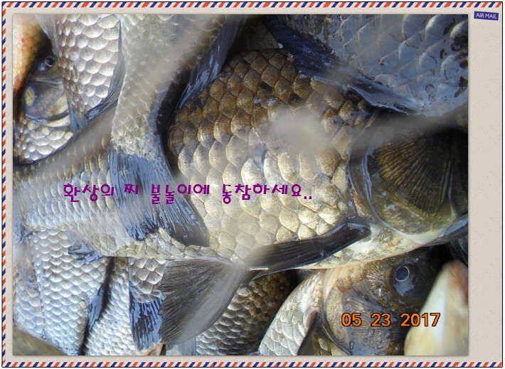 도심속의 작은 쉼터 화성 관리 낚시터입니다밤 밤 밤이 좋습니다 (유료터정보 - 유료터점주조황)