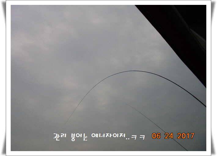도심속의 작은 쉼터 화성 관리 낚시터입니다6월에 마지막 소식5짜 방류 (유료터정보 - 유료터점주조황)