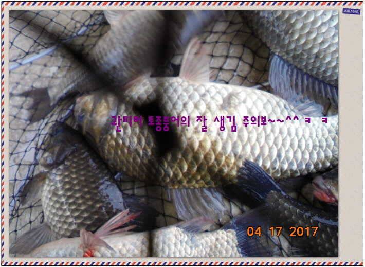 도심속의 작은 쉼터 화성 관리 낚시터입니다역사 한번 만들어 보자구요 (유료터정보 - 유료터점주조황)