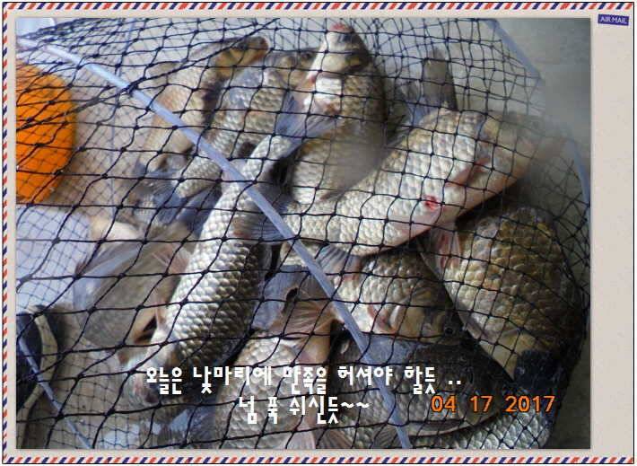 도심속의 작은 쉼터 화성 관리 낚시터입니다역사 한번 만들어 보자구요 (유료터정보 - 유료터점주조황)