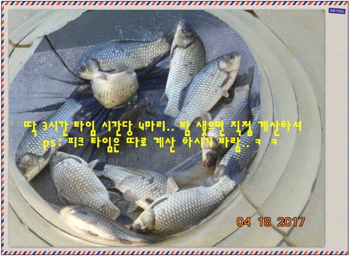 도심속의 작은 쉼터 화성 관리 낚시터입니다역사 한번 만들어 보자구요 (유료터정보 - 유료터점주조황)