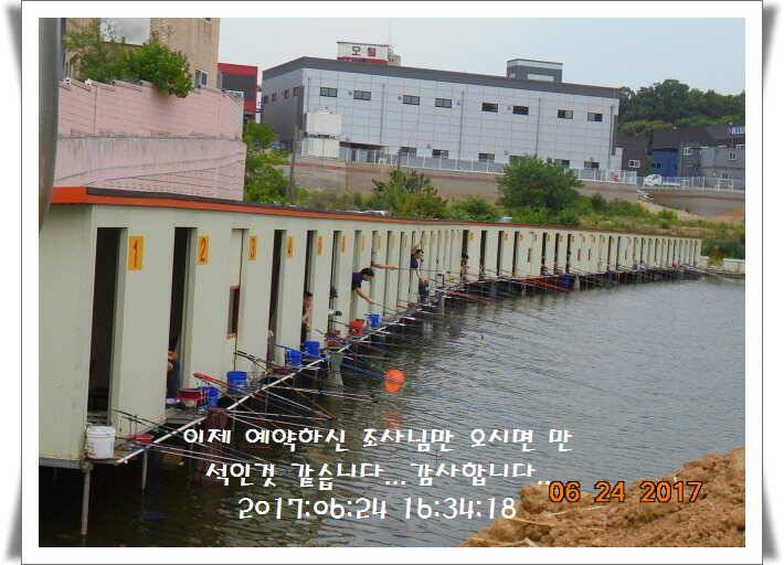 도심속의 작은 쉼터 화성 관리 낚시터입니다어렵고도 쉬운 것이 낚시 (유료터정보 - 유료터점주조황)