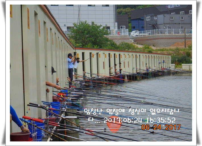 도심속의 작은 쉼터 화성 관리 낚시터입니다어렵고도 쉬운 것이 낚시 (유료터정보 - 유료터점주조황)