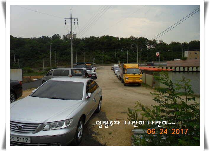도심속의 작은 쉼터 화성 관리 낚시터입니다어렵고도 쉬운 것이 낚시 (유료터정보 - 유료터점주조황)