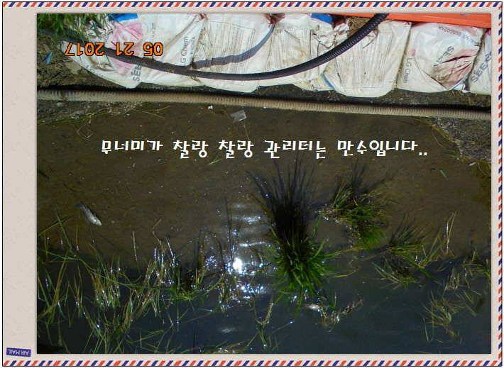 도심속의 작은 쉼터 화성 관리 낚시터입니다 (유료터정보 - 유료터점주조황)