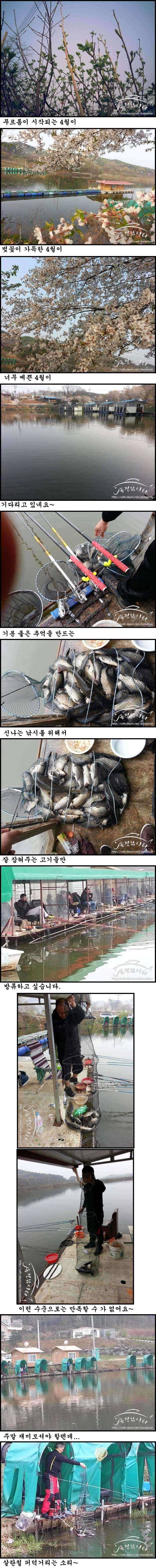 독정낚시터 먹이본능에 집착한 붕어 (유료터정보 - 유료터점주조황)
