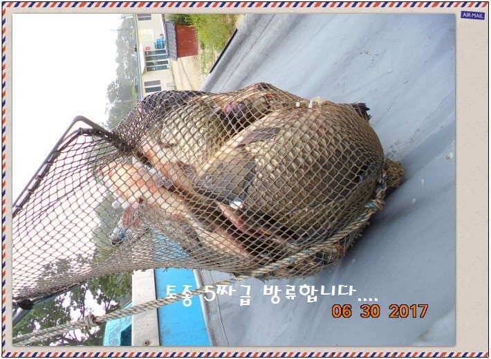 도심속의 작은 쉼터화성 관리 낚시터입니다꿀 같은 단비가 내렸습니다 (유료터정보 - 유료터점주조황)