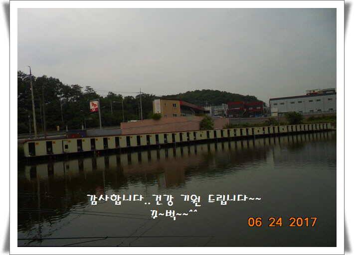 도심속의 작은 쉼터 화성 관리 낚시터입니다 (유료터정보 - 유료터점주조황)