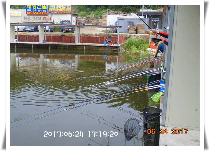 도심속의 작은 쉼터 화성 관리 낚시터입니다 (유료터정보 - 유료터점주조황)