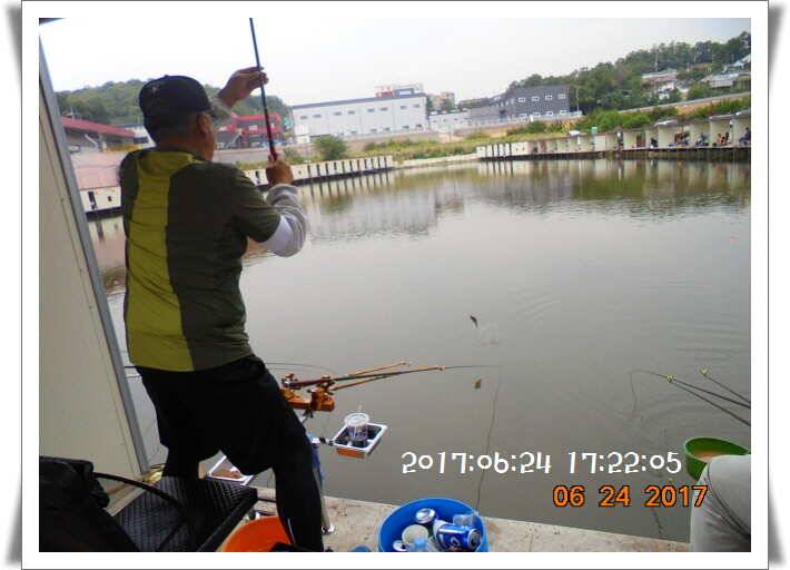 도심속의 작은 쉼터 화성 관리 낚시터입니다 (유료터정보 - 유료터점주조황)