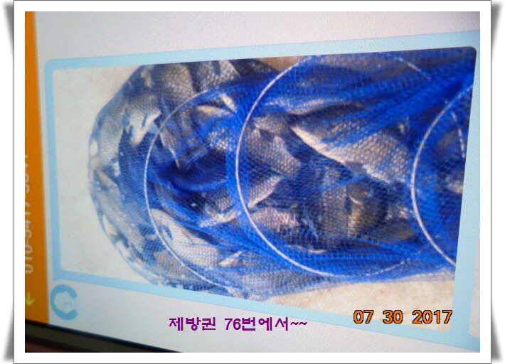 도심속의 작은 쉼터 화성 관리 낚시터입니다핫 한 낚시터 관리 (유료터정보 - 유료터점주조황)