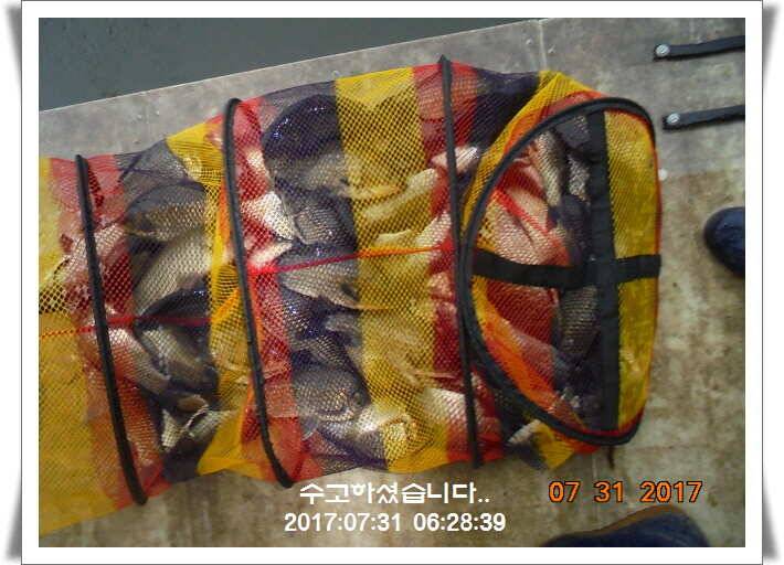 도심속의 작은 쉼터 화성 관리 낚시터입니다핫 한 낚시터 관리 (유료터정보 - 유료터점주조황)