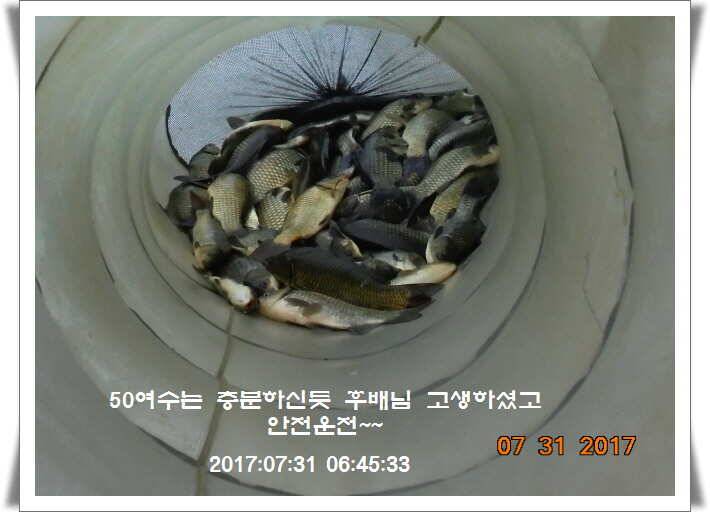 도심속의 작은 쉼터 화성 관리 낚시터입니다핫 한 낚시터 관리 (유료터정보 - 유료터점주조황)