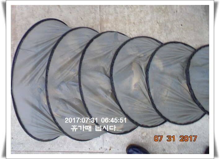 도심속의 작은 쉼터 화성 관리 낚시터입니다핫 한 낚시터 관리 (유료터정보 - 유료터점주조황)