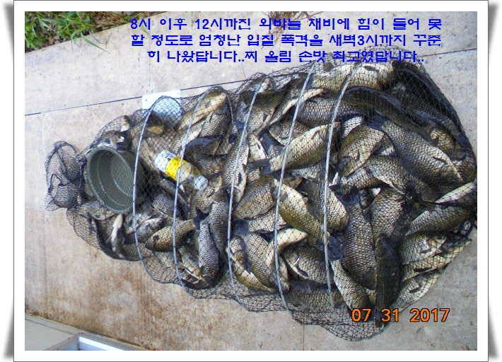 도심속의 작은 쉼터 화성 관리 낚시터입니다핫 한 낚시터 관리 (유료터정보 - 유료터점주조황)