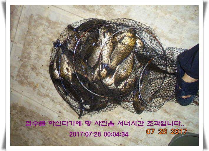 도심속의 작은 쉼터1 화성 관리 낚시터입니다관리터에 어둠이 내리면 (유료터정보 - 유료터점주조황)