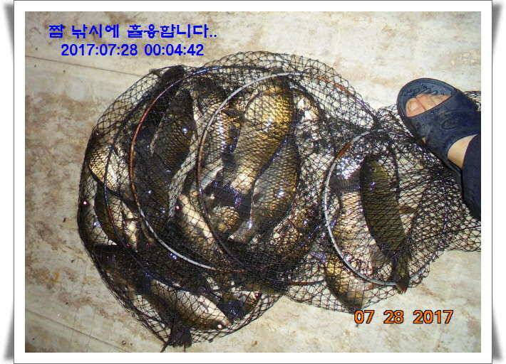 도심속의 작은 쉼터1 화성 관리 낚시터입니다관리터에 어둠이 내리면 (유료터정보 - 유료터점주조황)