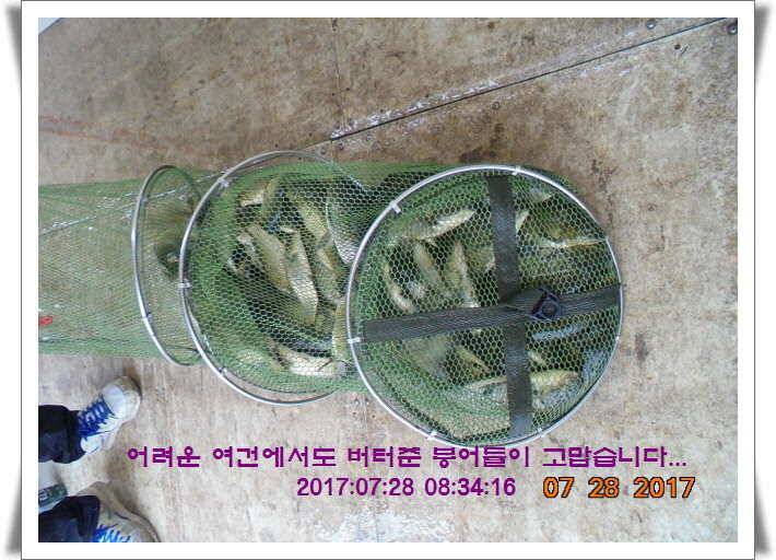 도심속의 작은 쉼터1 화성 관리 낚시터입니다관리터에 어둠이 내리면 (유료터정보 - 유료터점주조황)