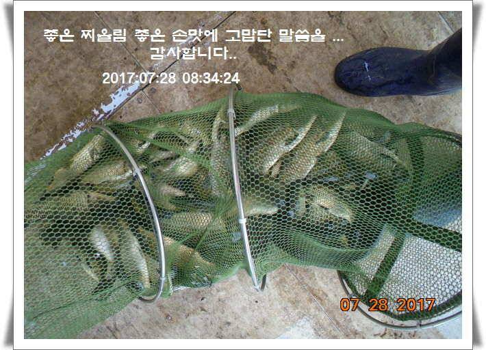 도심속의 작은 쉼터1 화성 관리 낚시터입니다관리터에 어둠이 내리면 (유료터정보 - 유료터점주조황)