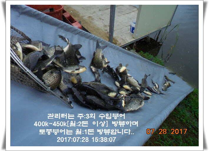 도심속의 작은 쉼터1 화성 관리 낚시터입니다관리터에 어둠이 내리면 (유료터정보 - 유료터점주조황)