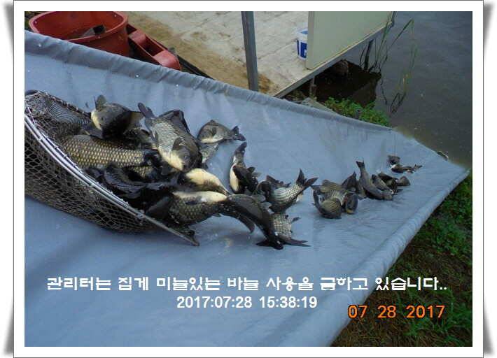 도심속의 작은 쉼터1 화성 관리 낚시터입니다관리터에 어둠이 내리면 (유료터정보 - 유료터점주조황)