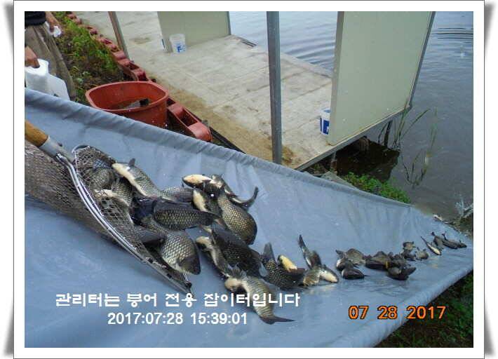 도심속의 작은 쉼터1 화성 관리 낚시터입니다관리터에 어둠이 내리면 (유료터정보 - 유료터점주조황)