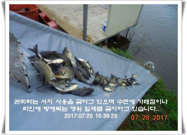 도심속의 작은 쉼터1 화성 관리 낚시터입니다관리터에 어둠이 내리면 (유료터정보 - 유료터점주조황)