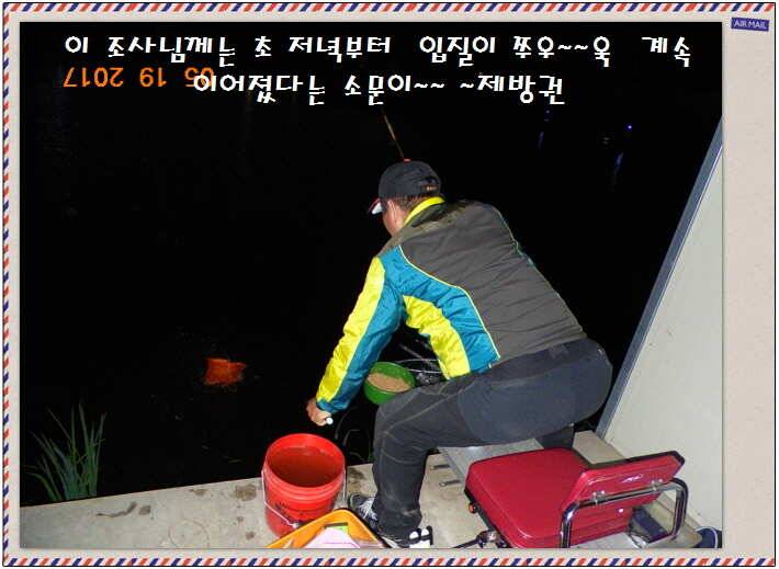 도심속의 작은 쉼터 화성 관리 낚시터입니다 (유료터정보 - 유료터점주조황)