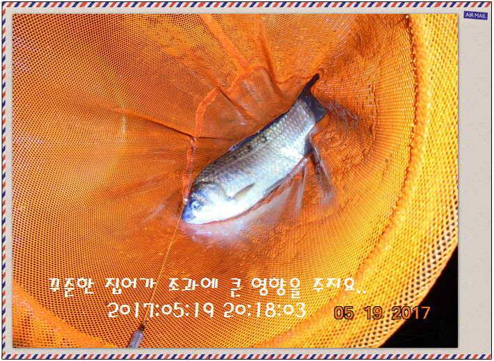 도심속의 작은 쉼터 화성 관리 낚시터입니다 (유료터정보 - 유료터점주조황)