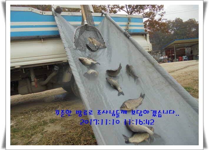 도심속의 작은 쉼터 화성 관리 낚시터입니다공지 소식안녕들 하셨습니까 (유료터정보 - 유료터점주조황)